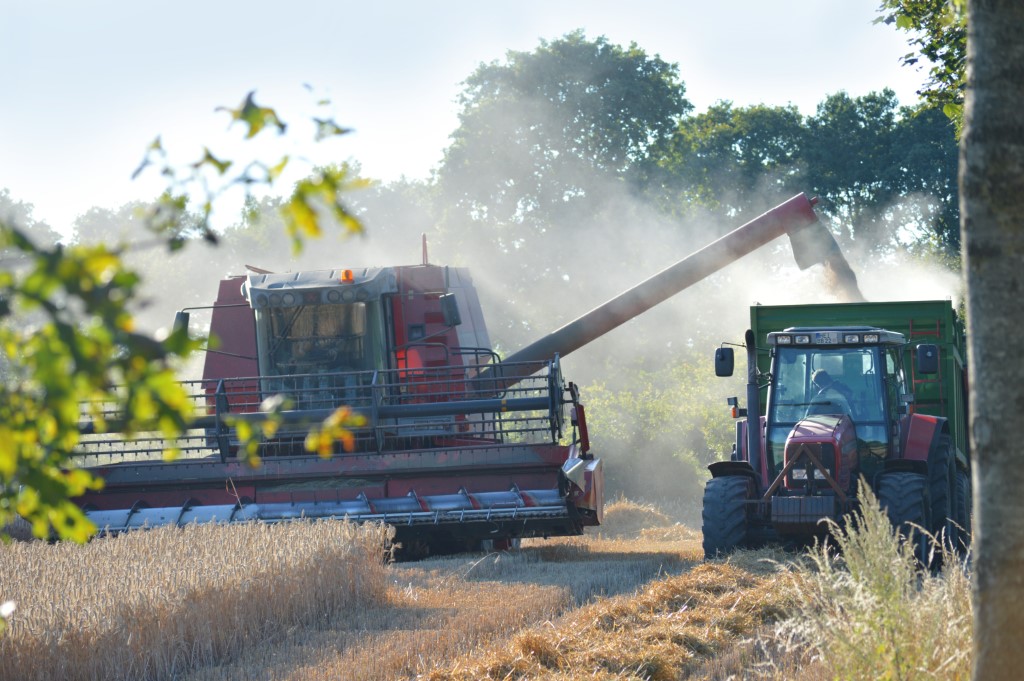 grain-harvester