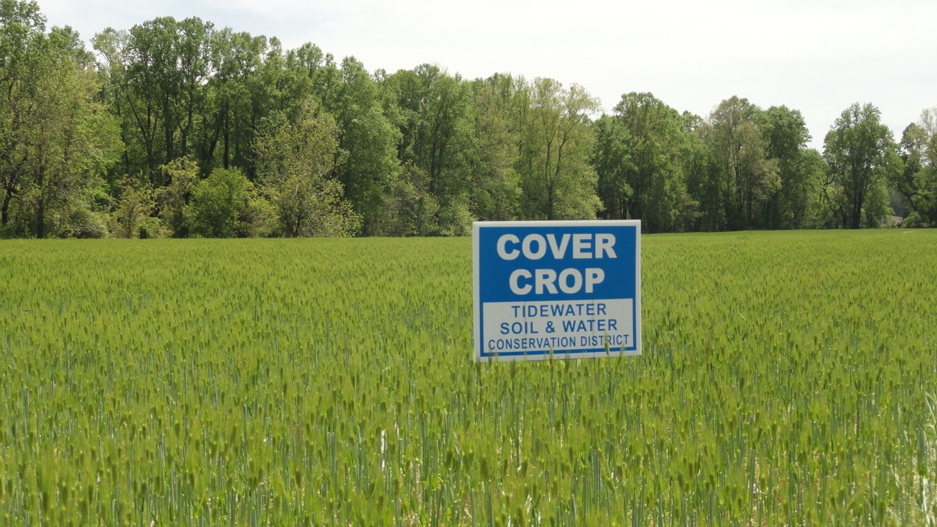 Oyster Farm Education Program (Medium)