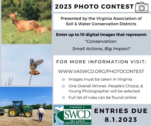 Photo Contest flyer