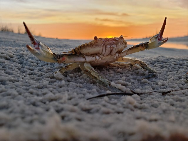 photowinner-Bob Diller Henricopolis titled Behold (Small)