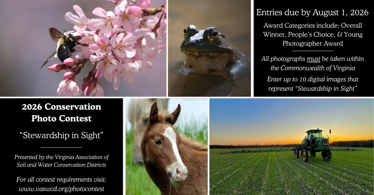 Stewardship in Sight Photo Contest Photo Contest flyer